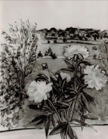 http://www.ted-dodson.com/files/gimgs/th-6_242.jpg